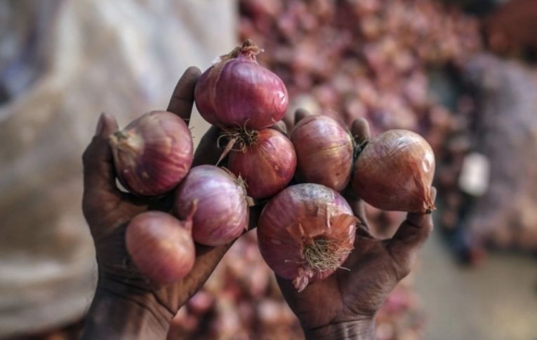 Bangladesh Onion Price Today